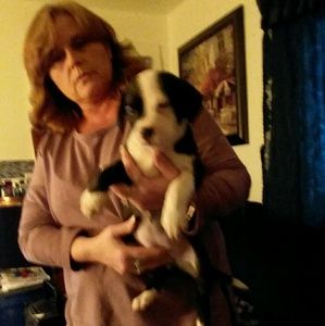 Meet your Posher, Christy